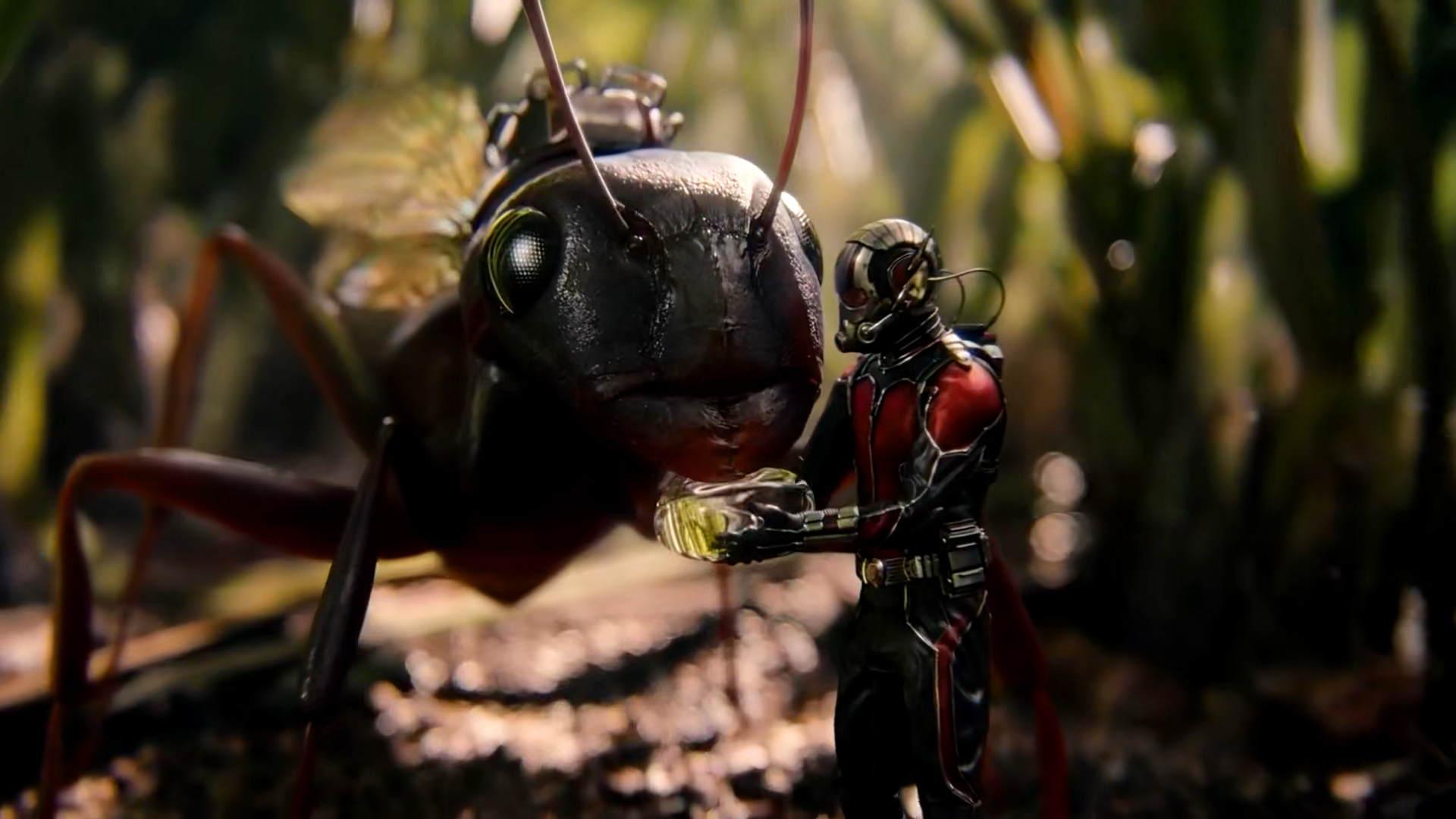 /images/Ant-Man_drop_of_water.jpg