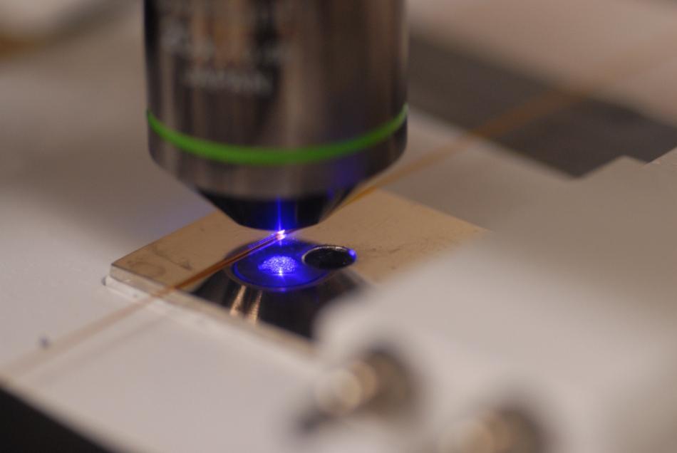 Photographie d'un capillaire en silice sous la lumière bleue d'un microscope à fluorescence