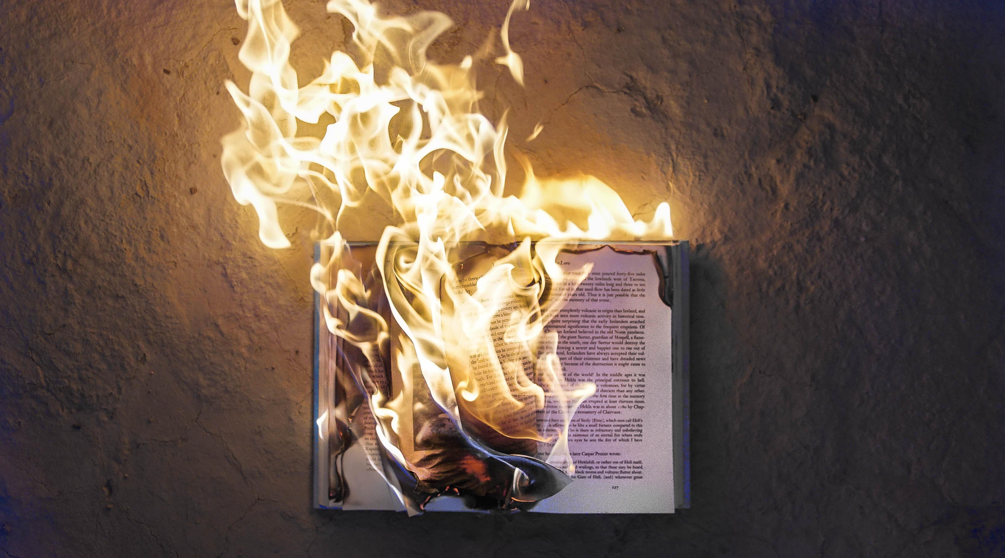 Photograph of a book burning