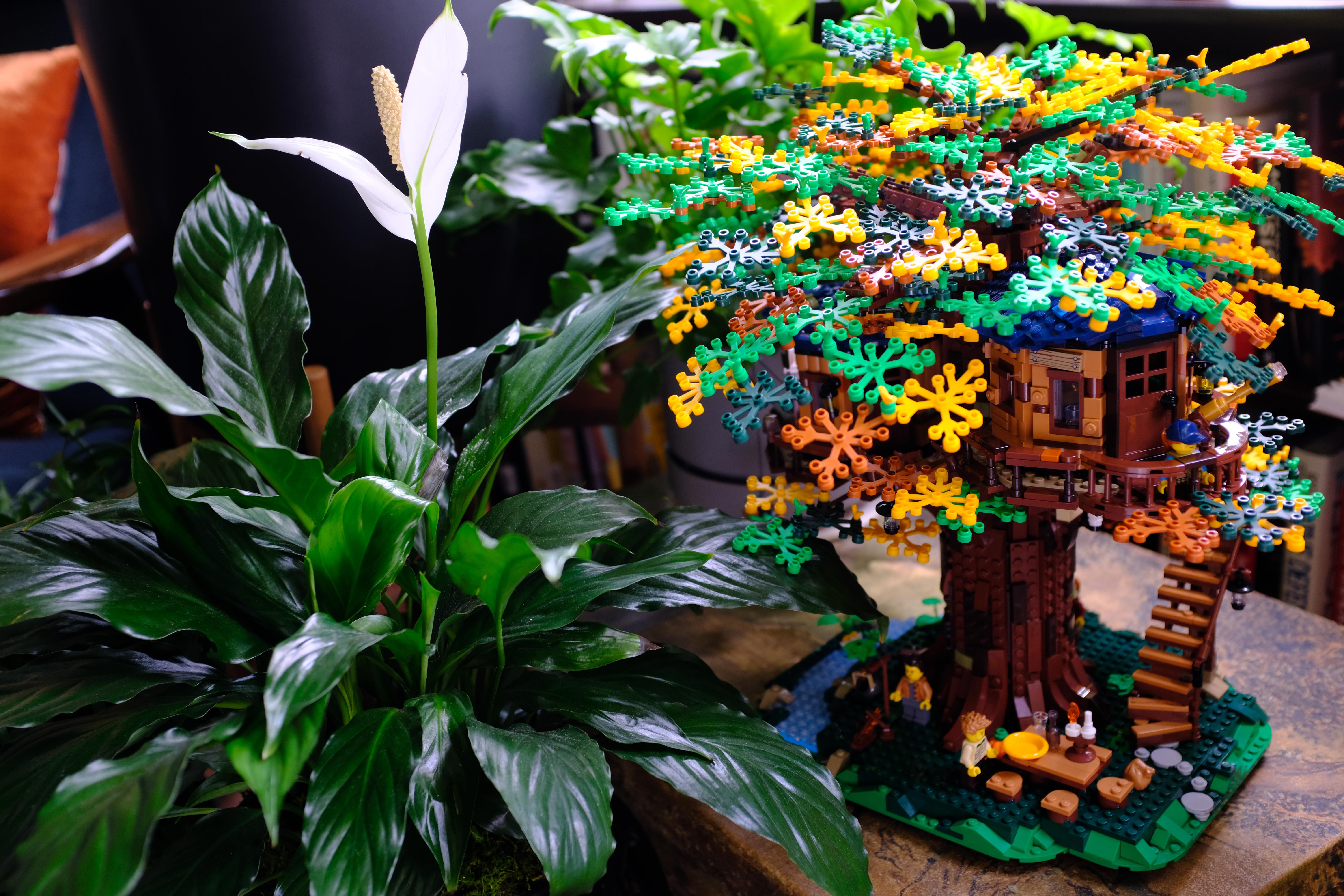 Photograph of a blooming Peace lily plant and a colorful Lego treehouse